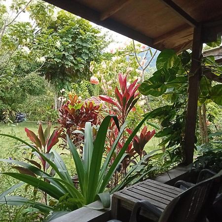 Thousand Hills Ketambe ,Room And Treking Lhokuenam Exterior foto