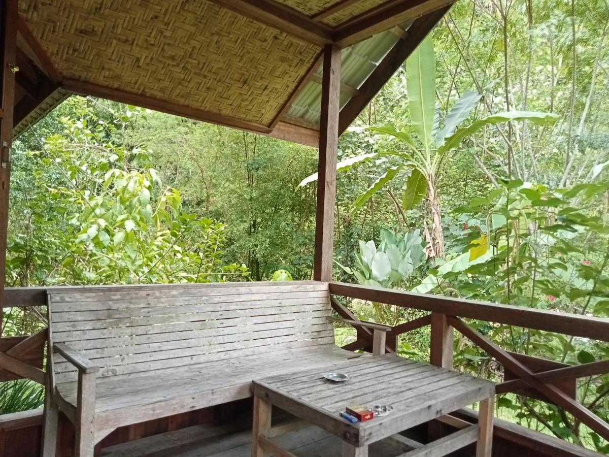 Thousand Hills Ketambe ,Room And Treking Lhokuenam Exterior foto