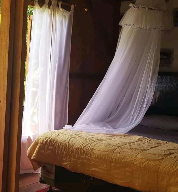 Thousand Hills Ketambe ,Room And Treking Lhokuenam Exterior foto